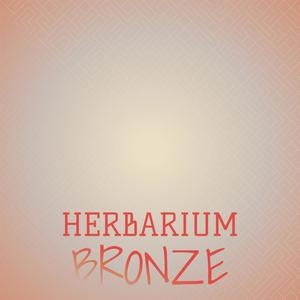 Herbarium Bronze