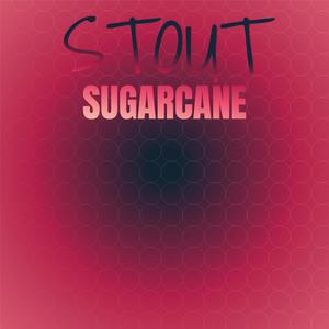 Stout Sugarcane
