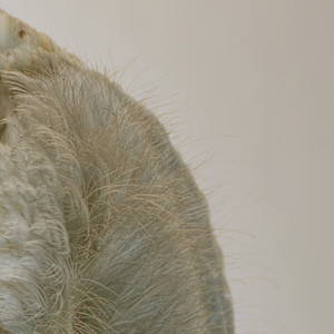 Jack Was Fed Up with Everybody Thinking Him Foolish