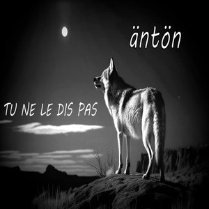 Tu ne le dis pas
