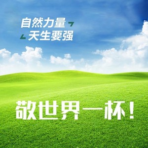 敬世界一杯 (伴奏)
