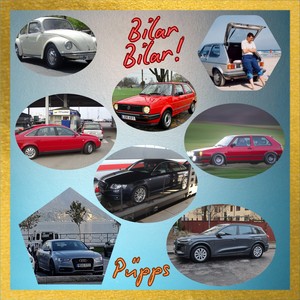 Hjälp, vi har köpt en elbil!