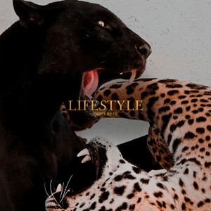 Lifestyle (Explicit)