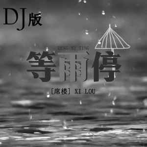 等雨停 (DJ版)