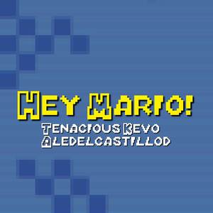 ¡Hey Mario! (DS Remix)