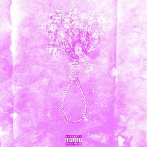 She Loves Me Not (Explicit)