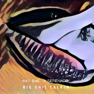 Big **** Talkin' (Explicit)