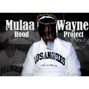 Hood Project, vol. 1 (Explicit)