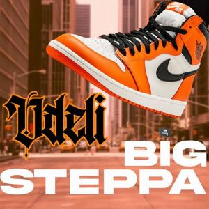 BIG STEPPA (Demo)