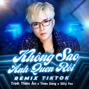 Không Sao Anh Quen Rồi - Trịnh Thiên Ân