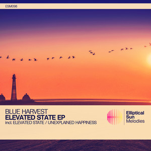 Elevated State