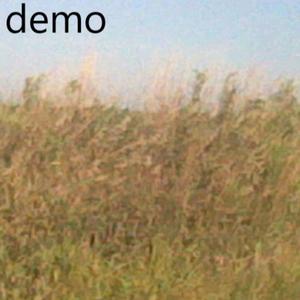 demo