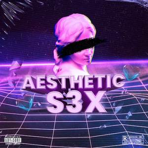 Aesthetic S3X (Explicit)