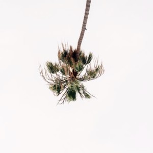 uproot