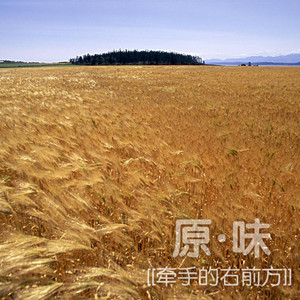 这个夏天