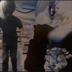 MAD E. ZIEGLER (feat. Lilyputt) (Explicit)