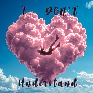 I Don't Understand (Explicit)