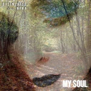 My soul (feat. Nina M.)