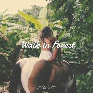 Walk in Forest (HASTRO Remix)