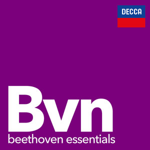 Beethoven - Violin Romance No. 2 in F major, Op. 50 (Live In Enschede)