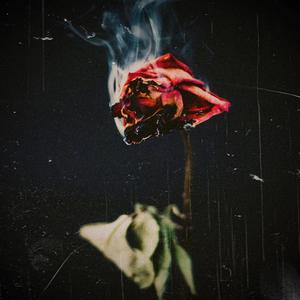 Love You Anymore (feat. Seven) (Radio Edit)