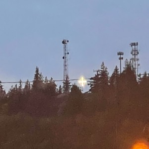 DIAMONDS(feat. capital cash) (Explicit)