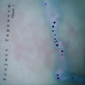 Momentum 2.0(Preliminary)