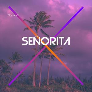 Señorita (Explicit)