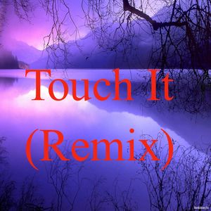 Touch It (Remix)