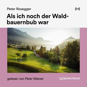 Als ich noch der Waldbauernbub war