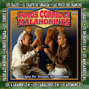 Puros Corridos Malandrines, Vol. 1