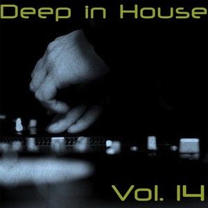 Deep in House, Vol. 14