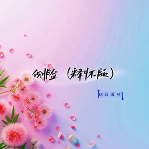 侧脸2024 (释怀版)