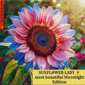 SUNFLOWER LADY (the most beautiful Moonlight Edition )