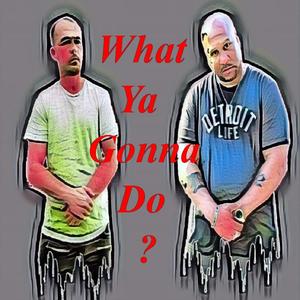 What Ya Gonna Do?(feat. Swifty McVay & Anno Domini Nation) (Explicit)