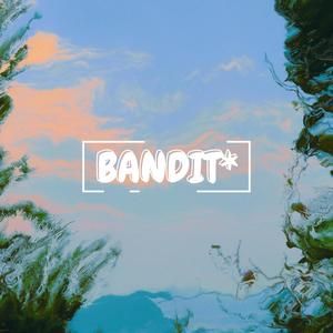 bandit·