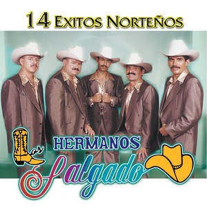 14 Exitos Norteños