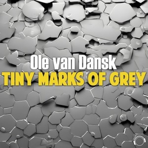 Tiny Marks Of Grey (Extended Mix)