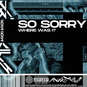 So Sorry Where Was I? (Explicit)