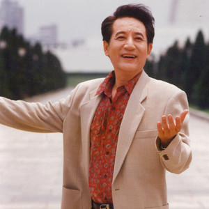 独木桥封面