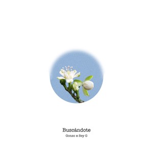 Buscándote (Explicit)