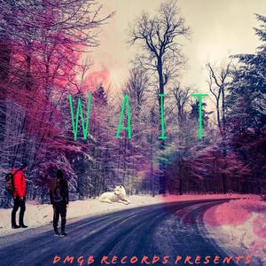 Wait (feat. LilSoul & FloThe44) (Explicit)