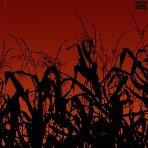 Any Combination(feat. D-Trait) (Explicit)