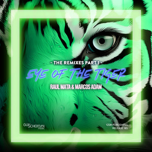 Eye Of The Tiger (Dani Brasil Remix)