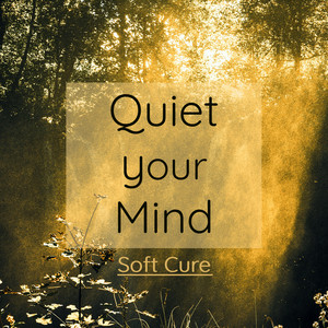 Quiet Your Mind: The Best Healing Music And Curative Songs To Relieve Your Mind