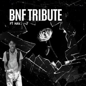 BNF TRIBUTE (feat. HAV)