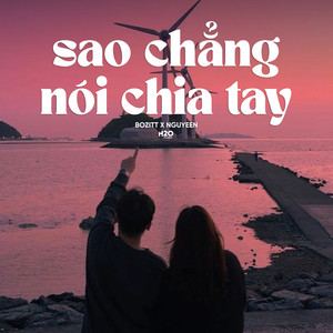 Sao Chẳng Nói Chia Tay (Lofi)