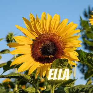 Ella (Explicit)