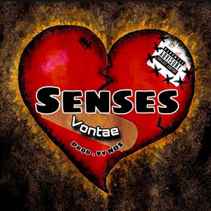 Senses