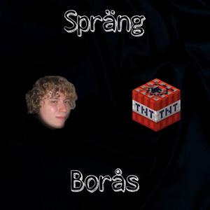 Borås